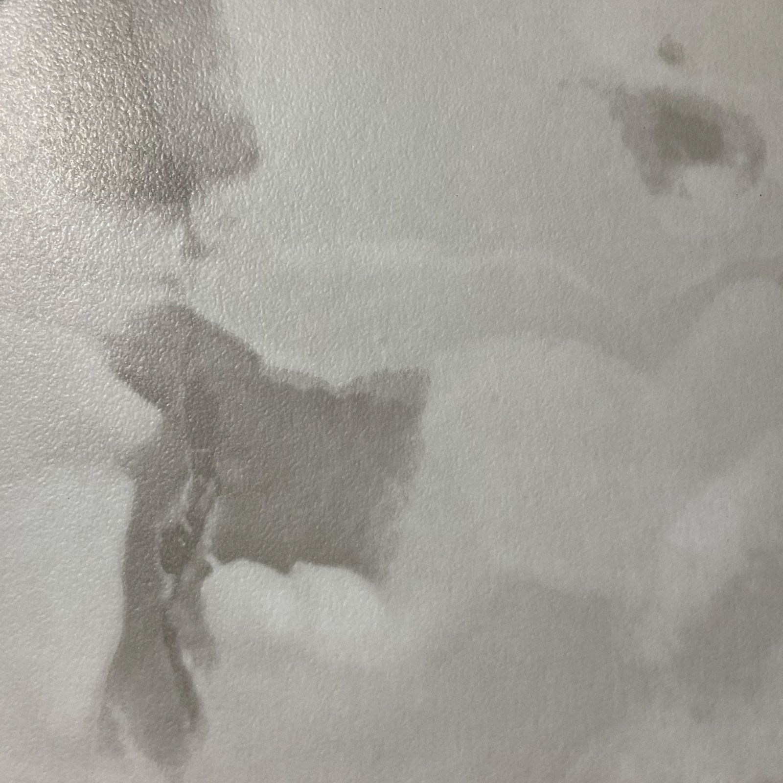 Piso Vinílico Cola Magnifique Santiago Madeira